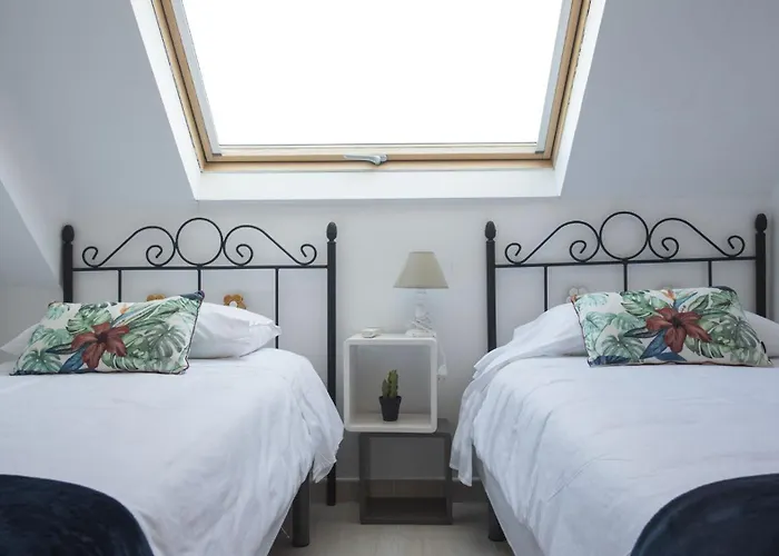 Pico Limon - Living Toledo